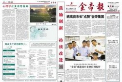 金帝股份最新爆料新闻视频