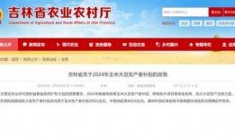 富平热点爆料最新消息,热点事件追踪，详情即将揭晓